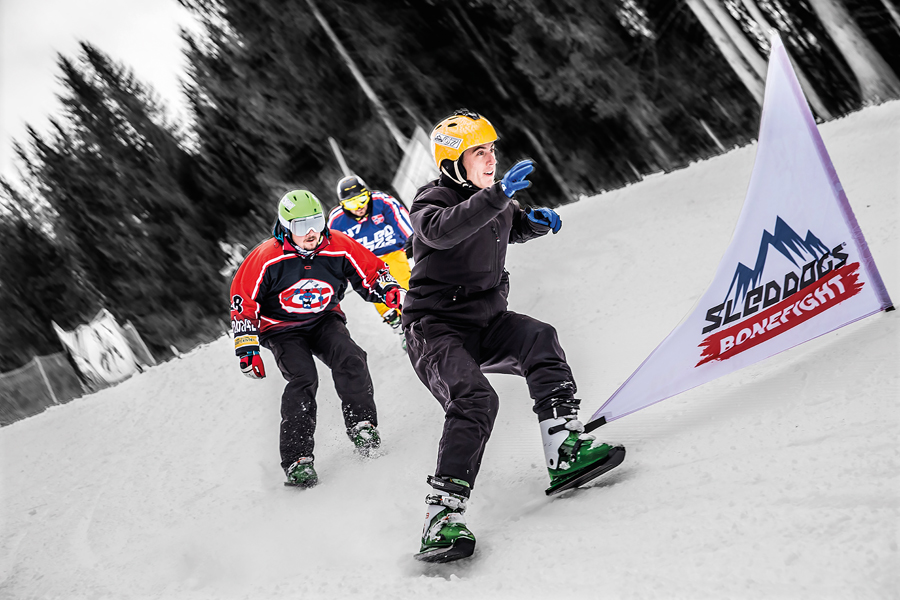 Sled Dogs Snowskates - Nesselwang im Allgäu